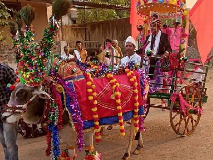 the bridegroom's wedding came from a bullock cart | जुन्या काळातील आठवणींना उजाळा; चक्क बैलगाडीतून आली नवरदेवाची वाजतगाजत वरात