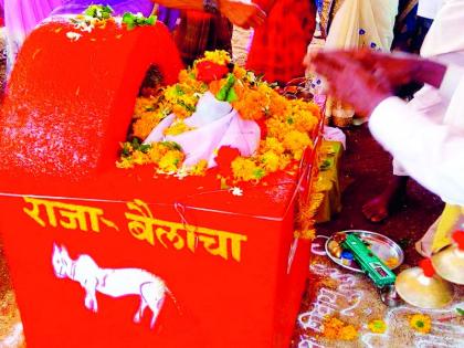 memorial of the bullock; death anniversary performed for six years | गुणी बैलाची समाधी; सहा वर्षांपासून केला जातो पुण्यतिथी सोहळा