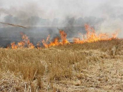 Weed fires in neighboring fields; sugarcane ash from two acres; A case has been registered against one | तणसाची आग शेजारच्या शेतात; दोन एकरातील उसाची राख; एकावर गुन्हा दाखल