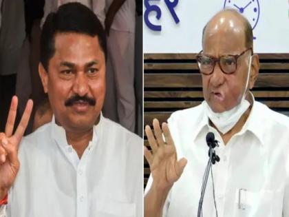 It is not Maharashtra's tradition to harass old people like Pawar Saheb by talking and behaving - Nana Patole | म्हातारपणी पवार साहेबांसारख्याला बोलून, वागवून त्रास देणे ही महाराष्ट्राची परंपरा नाही - नाना पटोले