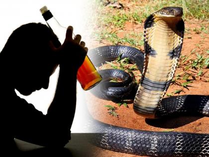 Rajasthan : Dholpur friends party roasted snake while drunk and ate | बाप रे बाप डोक्याला ताप, दारू पार्टी सुरू असताना टल्ली व्यक्तीने शिजवून खाल्ला साप आणि मग...