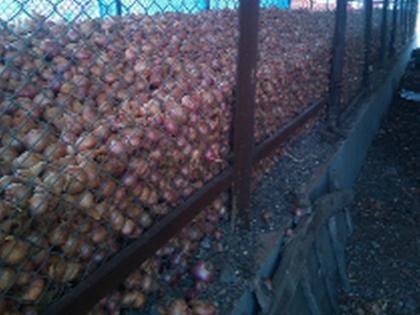 Thousands of tons of onion fall due to the price | दराअभावी हजारो टन कांदा पडून