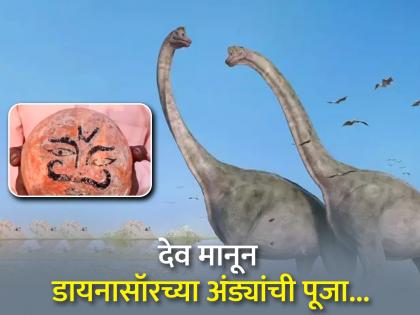 MP : Stones that were worshiped as totems turned out to be dinosaur eggs in Narmada Valley | जे दगड वर्षानुवर्ष कुळदेवता म्हणून पूजले, ते निघाले डायनासॉरचे अंडे