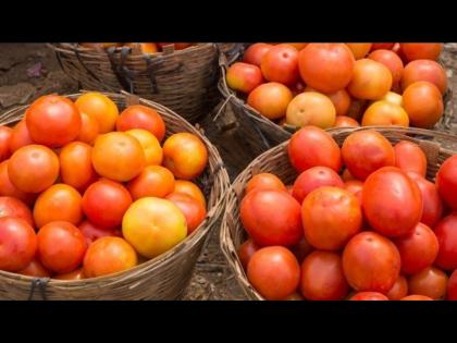 Husband put tomato in vegetable angry wife left home Madhya Pradesh | भाजीत टोमॅटो टाकले म्हणून पत्नी घर सोडून गेली, मदतीसाठी पती पोलिसांच्या दारी!