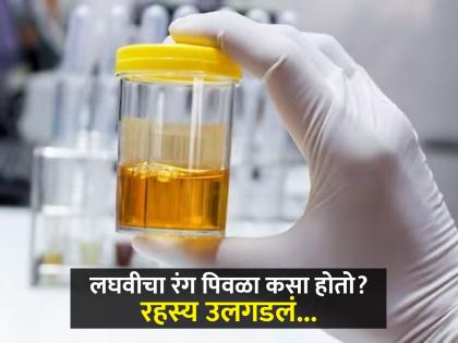 How does urine turn yellow? Scientists have been wondering the answer for many years, now we know the reason... | लघवीचा रंग पिवळा कसा होतो? अनेक वर्षांपासून वैज्ञानिक शोत होते उत्तर, आता समजलं कारण...