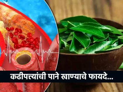 Health benefits and uses of curry leaves | रोज कढीपत्त्याची पाने खाल्ल्याने कमी होईल वजन, सोबतच मिळतील अनेक फायदे