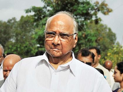 Sharad Pawar will visit the farmers' of flood affected in osmanabad, a two-day tour was decided | पूरग्रस्त शेतकऱ्यांच्या बांधावर शरद पवार, दोन दिवसांचा पाहणी दौरा करणार