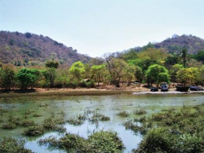 Nhava Island near Mumbai will now become a picnic spot | मुंबईजवळील न्हावा बेट आता बनणार पिकनिक स्पॉट