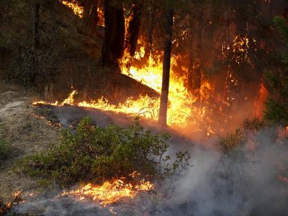 Termed as 9th most destructive in history, Northern California wildfire destroys 800 plus homes | उत्तर कॅलिफोर्नियातील वणव्यामुळे 800 घरे नष्ट