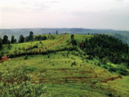 Man-made forest on Mini Mahabaleshwar hills | मिनी महाबळेश्वर टेकड्यांवर होणार मानवनिर्मित जंगल