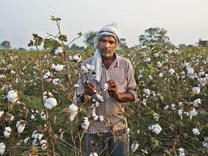 35,000 farmers are still deprived of loan waiver in maharashtra | नुसतीच घोषणा... अद्याप ३५ हजार शेतकरी कर्जमाफीपासून वंचितच