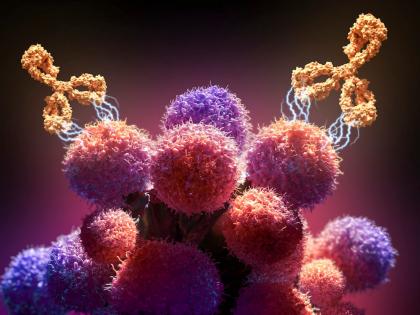 anti cancer antibodies found by Britain scientist to help treatment of cancer | कॅन्सर रुग्णांसाठी महत्त्वाचं संशोधन, शास्त्रज्ञांनी शोधल्या अँटी कॅन्सर अँटीबॉडीज, उपचारात वरदान