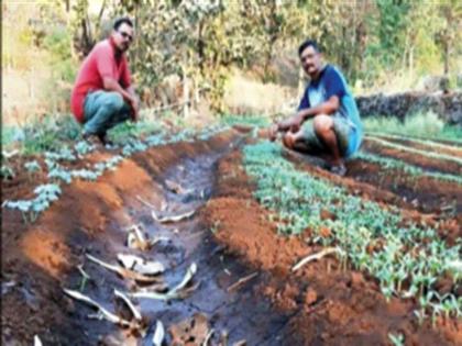 A different wait found for subsistence in the lockdown | लॉकडाऊनमध्ये उदरनिर्वाहासाठी शोधली वेगळी वाट