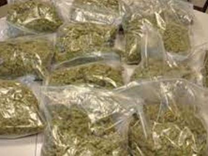 Three and a half kg stock of cannabis seized from Janata vegetable market in Akola | जनता भाजी बाजारातून साडेतीन किलो गांजाचा साठा जप्त