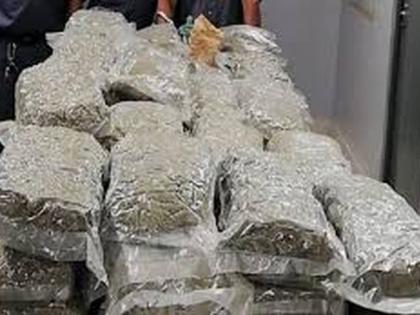 2.36 lakh cannabis seized in Murtijapur | मूर्तिजापूरमध्ये २.३६ लाखांचा गांजा जप्त