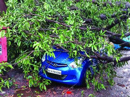 Storm surges in Raigad, power outage | रायगडमध्ये वादळी वाऱ्याचे थैमान, वीजपुरवठा खंडित