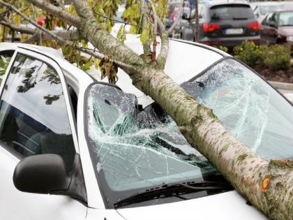 A tree suddenly fell on a running car during a storm, killing a Zilla Parishad official. | वादळ वाऱ्यात धावत्या कारवर कोसळले झाड, जिल्हा परिषदेतील अधिकाऱ्याचा मृत्यू A tree suddenly fell on a running car during a storm, killing a Zilla Parishad official. | वादळ वाऱ्यात धावत्या कारवर कोसळले झाड, जिल्हा परिषदेतील अधिकाऱ्याचा मृत्यू