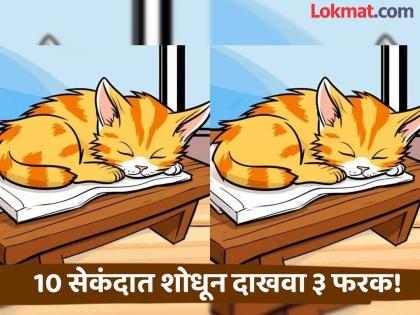 Optical Illusion : Can You Find 3 differences between the sleeping cat pictures in 10 seconds! | चॅलेंज! एकसारख्या दिसणाऱ्या फोटोत शोधा ३ फरक, शोधाल तर ठराल जीनिअस!