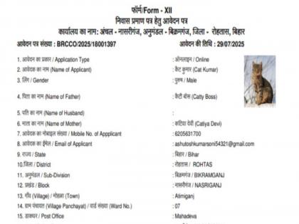 After Dog Babu in Bihar now a residence certificate has been sought in the name of Cat Kumar | डॉग बाबूनंतर आता 'कॅट कुमार'ही रहिवासी; वडील 'कॅटी बॉस' तर आईचे नाव 'कटिया देवी' After Dog Babu in Bihar now a residence certificate has been sought in the name of Cat Kumar | डॉग बाबूनंतर आता 'कॅट कुमार'ही रहिवासी; वडील 'कॅटी बॉस' तर आईचे नाव 'कटिया देवी'