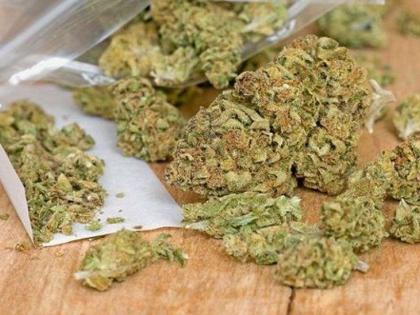 Guruji, you too ... only a teacher went to Chandrapur to smuggle cannabis | गुरुजी तुम्हीसुद्धा... चंद्रपुरात शिक्षकच निघाला गांजा तस्कर