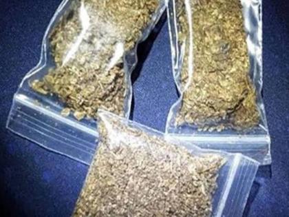 Half a kilo of ganja was seized from Barshitakli, the business started from the residence | बार्शीटाकळीत अर्धा किलो गांजाचा साठा हस्तगत, राहत्या घरातून सुरु होता धंदा