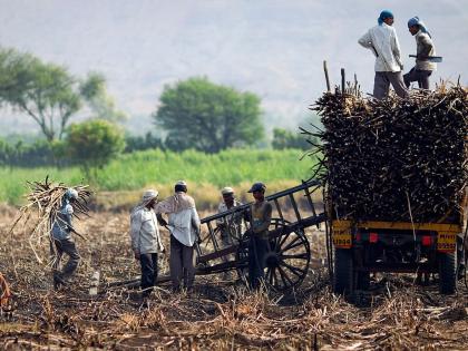 Subsidy instead of accident insurance to farmers; How much grantee will get, what documents will be required | शेतकऱ्यांना अपघाती विम्याऐवजी अनुदान; किती रक्कम, काय लागतील कागदपत्रे