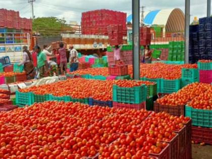 31 lakh extorted from 35 tomato farmers, crime against trader in nashik panchvati | ३५ टोमॅटो उत्पादक शेतकऱ्यांना ३१ लाखांचा गंडा, आडत व्यापाऱ्याविरुद्ध गुन्हा