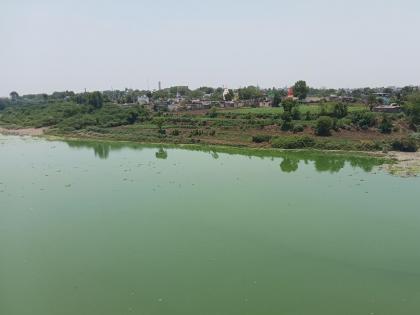 In the Godavari, the water has turned green; City sewage into the river basin in nanded | गोदावरीत जलपर्णी, पाणी झाले हिरवे; शहरातील सांडपाणी नदीपात्रात