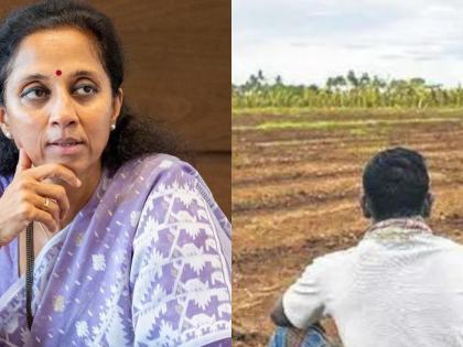 Average rainfall in the state is less than 80 percent, Maharashtra government should declare drought., Supriya sule | "राज्यात सरासरी ८० टक्के पाऊस कमी, महाराष्ट्र सरकारने दुष्काळ जाहीर करावा"