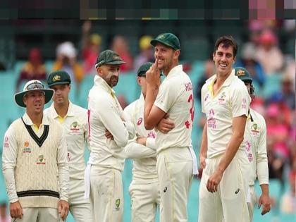 This is not defeat but surrender in india vs australia test match | हा पराभव नाही तर शरणागती, ऑस्ट्रेलियन संघाने कुठे चूक केली?