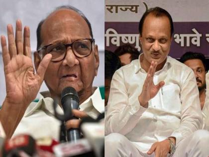 Sharad Pawar and ajit pawar expert in their area vidhansabha election 2019 | काकांचा निवडून आणण्यात तर पुतण्याचा पाडण्यात हातखंडा