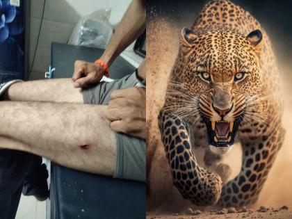 The leopard took the sugarcane and jumped on the laborer, luckily escaped in sinnar nashik | बिबट्याने थेट ऊसातूनच घेतली मजुराच्या अंगावर झेप; सुदैवाने बचावला