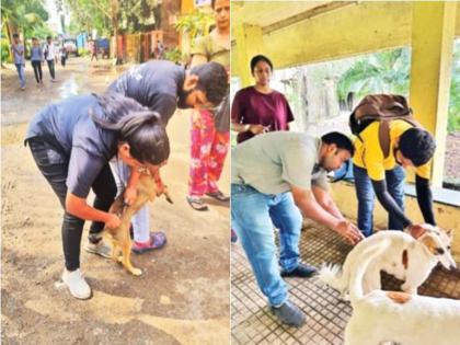 Rabies Vaccination by 'QR Card', the first app-based experiment | ‘क्यू आर काेड लावून’ रेबीज लसीकरण, ॲप आधारित पहिलाच प्रयोग