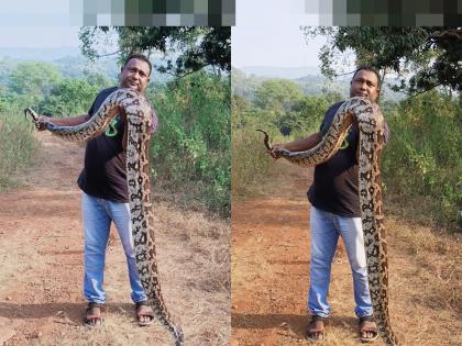 Bap Ray... 11 feet long, 49 kg python found in urban area in uran | बाप रे... नागरी वस्तीत आढळला ११ फुट लांब, ४९ किलो वजनाचा पायथॉन