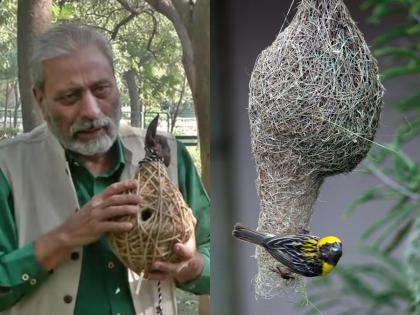 Limka Book Of Records: A loving man named Rakesh Khatri built 2.5 lakh nests for birds | Limka Book Of Records: खत्री नावाचा प्रेमळ माणूस, पक्षांसाठी बांधली तब्बल 2.5 लाख घरटी