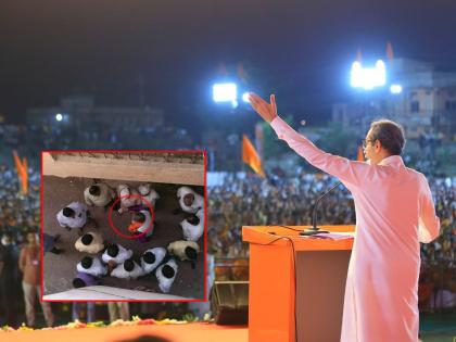 Uddhav Thackeray: Come to the meeting ... Khaire distributed money to the people, MNS shared the photo as evidence | Uddhav Thackeray: सभेसाठी या रे... खैरेंनी लोकांना पैसे वाटल्याचा मनसेचा दावा, पुराव्यादाखल शेअर केला फोटो