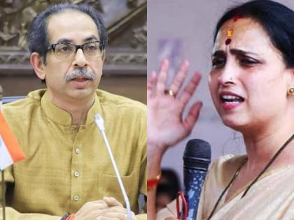 Devendra Fadanvis: Mahavikas Aghadi Ka Haath, with Underworld K, Chitra Wagh targets Shiv Sena | Devendra Fadanvis: महाविकास आघाडी का हाथ, अंडरवर्ल्ड के साथ, चित्रा वाघ यांचा शिवसेनेवर निशाणा