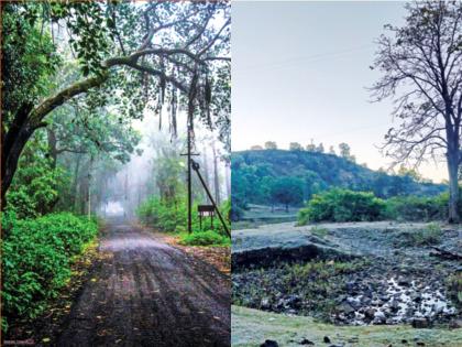 Barmasakti area covered with snow, dew point froze in the mud ... | बर्फाच्छादित झाला बरमासक्ती परिसर, चिखलदऱ्यात दवबिंदूही गोठले...