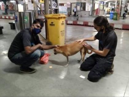 Rabies vaccination to 35 stray dogs in Thakurli, Kopar station | ठाकुर्ली, कोपर स्थानकातील ३५ भटक्या श्वानांना रेबीज प्रतिबंधक लस