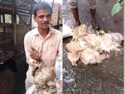 Sale of dead chickens in chicken supply trucks in Mumbai | कोंबडी पुरवठा करणाऱ्या गाड्यातील मेलेल्या कोंबड्यांची होतेय मुंबईत विक्री 