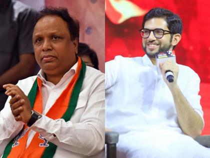 How much 'cut commission' taken from the contractor?; Ashish Shelar's question to Thackeray | कंत्राटदाराकडून किती 'कटकमिशन' घेतलं?; भाजपाचा आदित्य ठाकरेंना सवाल