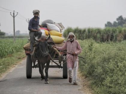 Did the government understand these changes? Farmers need support | हे बदल सरकारला समजले का? शेतकऱ्यांना आधाराची गरज