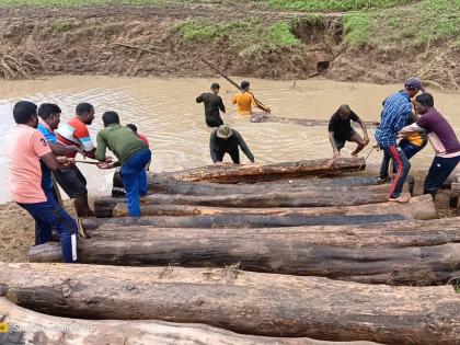 Pushpastile dumping of teak in Indravati river Gadchiroli sironcha; The police of forest caught it | इंद्रावती नदीत सागवानाचे पुष्पास्टाईल डम्पिंग; वन अधिकाऱ्यांनी असं पकडलं