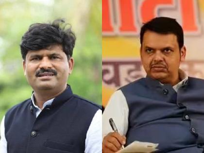 Fadnavis' reaction to Gopichand Padalkar's statement; The MLA's ears were pierced | पडळकरांच्या विधानावर फडणवीसांची कडक रिॲक्शन; आमदाराचे कान टोचले