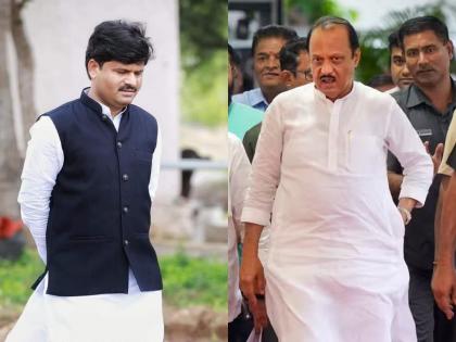 bjp vidya tamkhade and dhangar leader sharada padhare replied on ncp prashant pawar criticism on gopichand padalkar | गोपीचंद पडळकरविरुद्ध अजित पवार संघर्ष संपेना; राष्ट्रवादी नेत्याच्या आव्हानाला प्रतिआव्हान