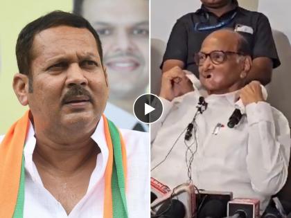 Sharad Pawar blew collar in Satara; He also talked about the candidacy of Udayanraje bhosle | Video: साताऱ्यात शरद पवारांनी उडवली 'कॉलर'; उदयनराजेंच्या उमेदवारीवरही बोलले