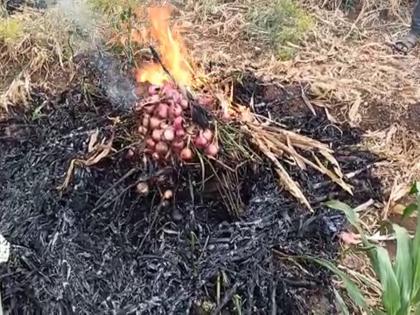 Angry farmer burnt onion and celebrated 'Holi'; Bombs in the name of government in yeowla | संतप्त शेतकऱ्याने कांदा पेटवून केली 'होळी'; सरकारच्या नावाने बोंबाबोंब