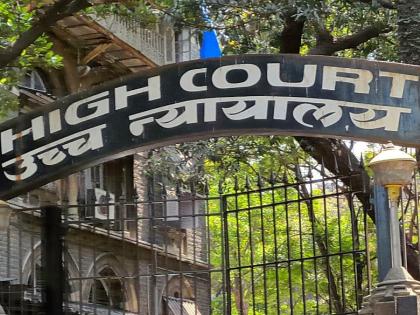 Will the transfer of shares of the flat benefit the minor girl? HighCourt question | फ्लॅटचे शेअर्स हस्तांतरित केल्याने अल्पवयीन मुलीला लाभ मिळणार का? कोर्टाचा सवाल