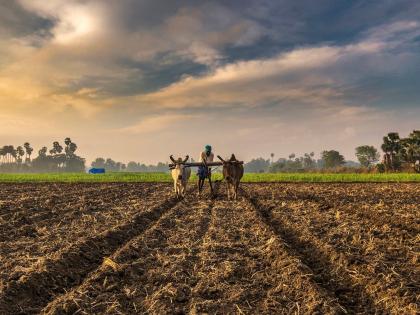 Take care of your own health; Then why is the farm not land? | शेतीची आरोग्यपत्रिका... स्वतःचे आरोग्य सांभाळता; मग शेत जमिनीचे का नाही?