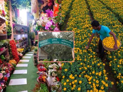 Ban China-made plastic flowers, important directives given by Green Tribunal | चीनी बनावटीच्या प्लास्टीक फुलांवर बंदी घाला, हरीत लवादाकडे शेतकऱ्याची याचिका